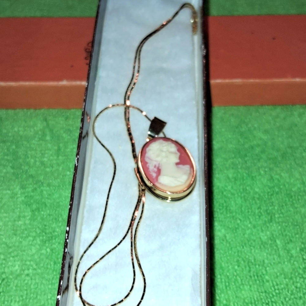 NWOT,Vintage 80's,Old Fashioned Pink & White,Photo,Cameo,Locket/Necklace 💕